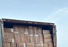 DOF apreende caminhão com 40 mil pacotes de cigarros contrabandeados do Paraguai