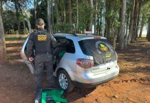 Carga de maconha que seria entregue em Caarapó é apreendida pelo DOF na MS-156