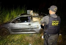 DOF apreende drogas, agrotóxicos e cigarros eletrônicos após perseguição e capotamento em Mundo Novo