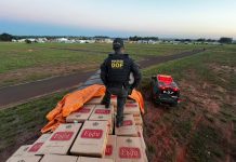 DOF apreende mais de 22 mil pacotes de cigarros contrabandeados em Mundo Novo