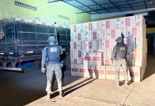 *DOF apreende carga milionária de cigarros contrabandeados em Mundo Novo*