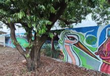 Fundação de Cultura presenteia Bodoquena com um mural de graffitti em comemoração ao aniversário da cidade
