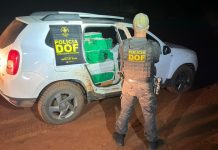 DOF apreende mais de uma tonelada de maconha e recupera veículo roubado
