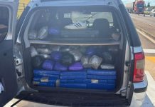 PRF apreende 260 kg de drogas e revólver na BR-163 em Caarapó