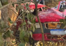 Casal bate em árvore e fica preso nas ferragens na MS-339 em Bodoquena