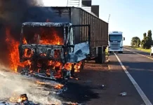 Caminhão pega fogo e motorista solta bois na MS-395 em Bataguassu