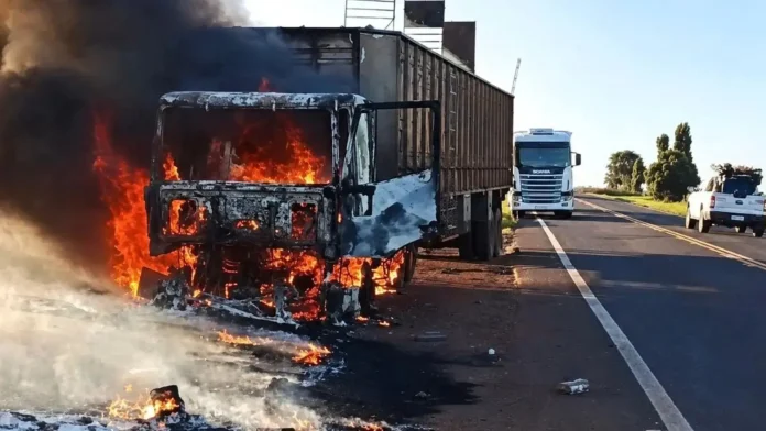 carreta-bois-Nova-News.jpg