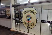 Pitbull escapa de casa e quase arranca orelha de menino de 8 anos